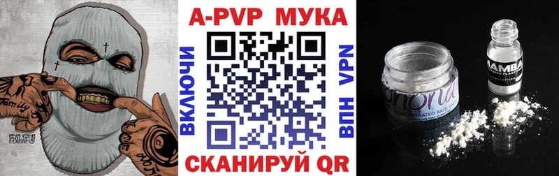 Купить закладки  Кстово  A-PVP Соль 