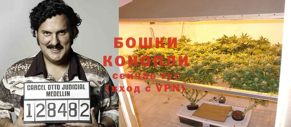 мдпв Майский
