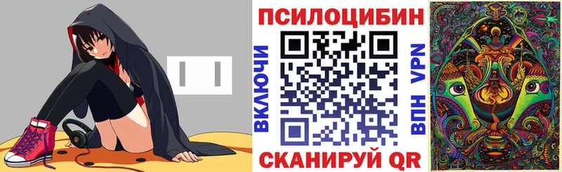 Галлюциногенные грибы Cubensis  Купить закладки  Кстово 